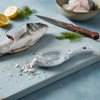 Hopzab Multifunctional Fish Scale Remover with Transparent Cover, Fishes Scaled