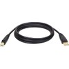 Tripp Lite USB 2.0 High-Speed Cable, Type-A to Type-B (M/M),