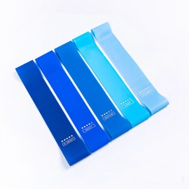 Resistance Loop Exercise Bands Exercise Bands, 5Pcs Elastic Exercise Loop Bands Resistance Levels Exercise Bands,Skin-Friendly Resistance Fitness Exercise Loop Bands with 5 Different Resistance Levels