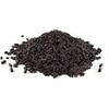 OdorHog Vent Stack Pipe Filter 4 Sizes, Black ABS with