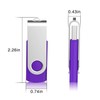 RAOYI 5 Pack 64GB USB Flash Drive USB 2.0 Memory