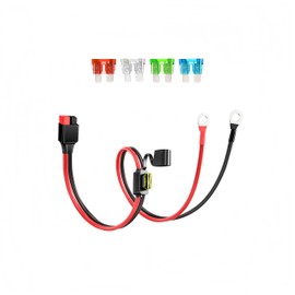 Anderson Connector to Ring Terminal Battery Cable 10AWG, Powerpole Style Anderson Powerpole Plug with 5 Fuses, Heavy Duty for Automotive, Portable Power Station & Solar Generator, 2FT (2-Pack)