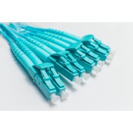 FCD - 10M OM4 MTP LCx8 Multi-Fiber Breakout Cable | 100G Plenum 50/125 MTP to 8xLC Multimode Jumper 10 Meter (32.8ft) | Length Options: 0.5M-300M | 10/40/100g qsfp 100gbase ofnp mtp-8lc