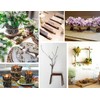 LAZACA Wooden Sticks Crafts Twigs for Crafting Natural Wood Unfinished