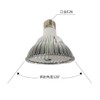 Plant Growing LED Lamp (Blue) PAR30-470nm