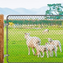 Insaga Cast 304 Stainless Steel Gate Hinges, 4pcs Wall Mount Gate Hinge for Fence Gate, One Piece Farm Gate Hardware for Chain Link Gate, Fit 5/8'' Pin Fence Post Hinge