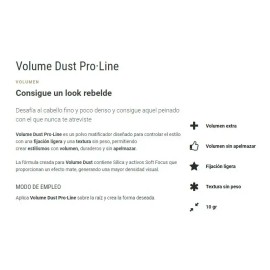 Volume Dust Polvo Matificador Da Volumen Y Densidad Salerm