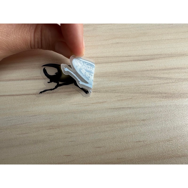 Hercules Beetle Sticker, Insect Clear Vinyl Decal, Entomology Sticker, Bug