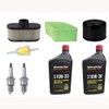 RAParts MIU12554 Filters with Spark Plugs and Oil Kit TY22029