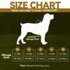 VIVAGLORY Easewalk Dog Harness, Anti-Pull Dog Harness for Training &