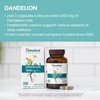 Himalaya Dandelion, Herbal Supplement for Daily Wellness Support, Vegan, Gluten