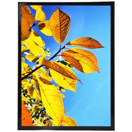 Aynoo 12x16 Picture Frame Black, Display Posters 12x16 Poster Frames, For Wall Collage Photo Frame