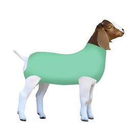 FUZIDDN Spandex Goat Tube for Show Goats - Show Livestock Supplies: Goat Covers & Blankets Rich in Color (Medium, Large) (Light Green, Medium)