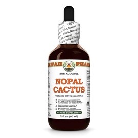 Nopal Cactus (Optunia Streptacantha) Dry Whole Cactus Glycerite, Made in Hawaii, All Natural, Vegan, Lab Tested Alcohol-Free Liquid Extract - 2 fl.oz