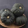 유기농 단호박분말 100g Organic Pumpkin Powder 100g