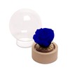 ROSEMARIE SCHULZ Heidelberg Small Rose in Glass Eternal Flower Blue