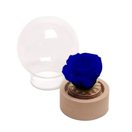 ROSEMARIE SCHULZ Heidelberg Small Rose in Glass Eternal Flower Blue Real Durable Rose with Glass Dome Round (Small, Blue)