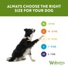 WHIMZEES By Wellness Rice Bone, Natural and Gluten-Free Dog Chews,