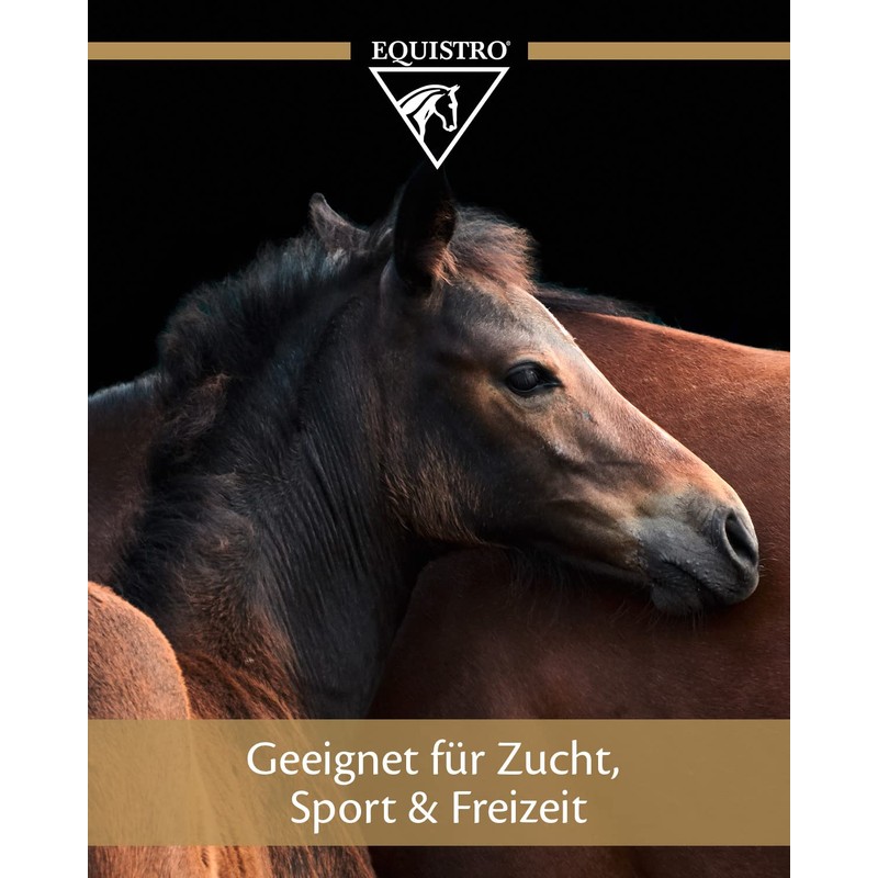 Equistro Triforce Powder for Horses (Tub Size: 600g)