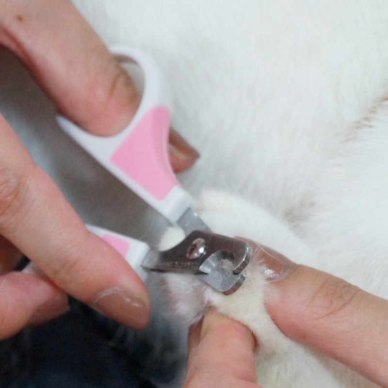 CattyMan CC Smooth Curve Nail Clipper (CattySalon Kalinia)