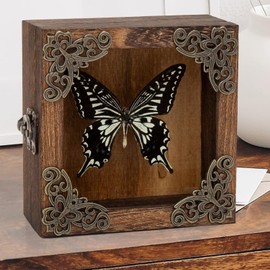 Taxidermy Butterfly Shadow Box Picture Frame - Real Butterfly Framed Meticulously Handcrafted, Butterfly in Frame for Gothic Room Decor (Citrus Swallowtail Butterfly (Family Papilionidae))