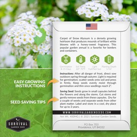 1 Pack Carpet of Snow Alyssum Seed for Planting with Instructions to Grow Lobularia Maritima in Your Home Flower or Vegetable Garden - Non-GMO Heirloom Lobularia Seeds - Survival Garden Seeds