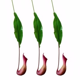 Evlasumflow 29" Artificial Nepenthes 3pcs Faux Pitcher Plant Hanging Vine Green Plant for Vase Bouquets Home Office Wedding Decor.(Claret)