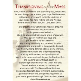 Prayer Before Mass, Prayer After Mass, Prayer Card, 4x6 inches, LAMINATED 3-pack