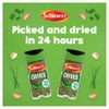 Schwartz Chives 1 G | Jar | Pack of 6