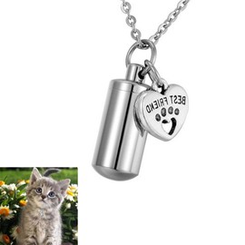 Dog Paw Urn Cylinder Necklace,Stainless Steel Dog Urn Pet Ashes Pot,Pet Cremation Jewelry for Ashes Pendant Paw Print Pet Heart Urn Necklace Memorial Keepsake Jewelry for Pet/Dog's/Cat's Ashes