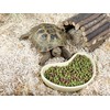 Komodo Flexi Stix, Small, Terrarium or Vivarium Natural Decor, Suitable