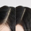 CHAHONG (출산 선물 추천) 맘 루트 케어 샴푸 (Recommended Gift