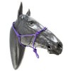 ARBO-INOX Knot Halter Simple without Lead Rope Special Offer (COB