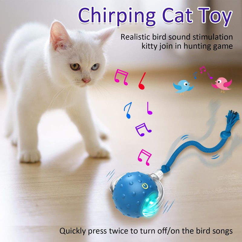 Giociv Interactive Cat Toys Ball for Indoor Cats Fast Rolling