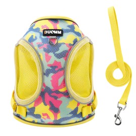 2Pcs Harness Set for Dogs, Mesh Pet Vest Set with leash for Walking Training Daily