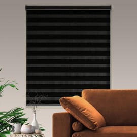 JIANGPIN TEXTILE Zebra Roller Shades, Dual Layer Roll Up Blind for Living Room, Semi Sheer Shades Window Treaments Privacy Light Control for Day and Night, (Maximum Height 72inch, Black Color, 28'' W)