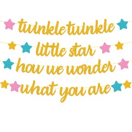 Twinkle Twinkle Llittle Star How We Wonder What You Are Banner Gender Reveal Decorations Boy or Girl He or She Pink Blue Gold Star Baby Shower Party Supplies Glitter Décor Pre-Strung