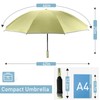Bodyguard Large Windproof Inverted Umbrellas for Rain & Sun -