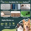 Enzyme Cleaner for Cat Urine | Cat Pee Odor Eliminator