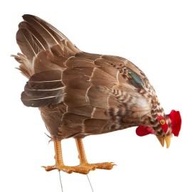 Brown Feathered Feeding Artificial 14" Hen with Attached Wires on Feet