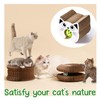 Dansydaisy 2 Pcs Cat Toy Cat Head Magic Organ Cat
