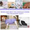 BEAUTYZOO Recovery Suit for Dogs, Dog Surgery Suit Female Spay,