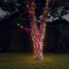 SKM Solar Fairy Light Set of 5 Multicolor Plastic Long