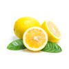 Lemon Extract - Pure and Terpeneless - Tart Lemony Flavor