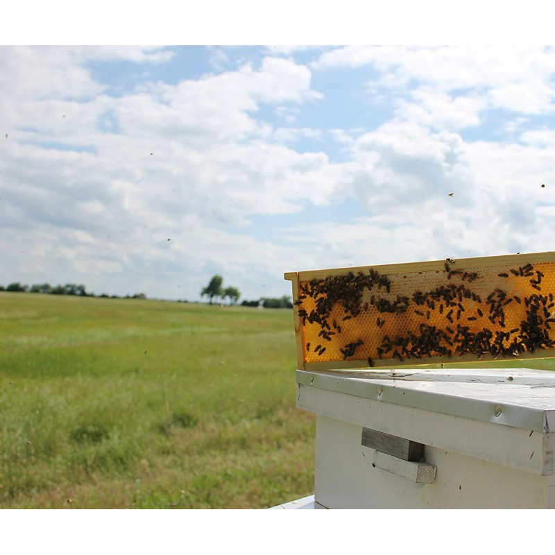 Prairie River Honey Farm Raw Honey Pure Natural Nebraska Honey