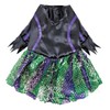 Zack & Zoey Scary Witch Costume for Dogs, 20"/Large
