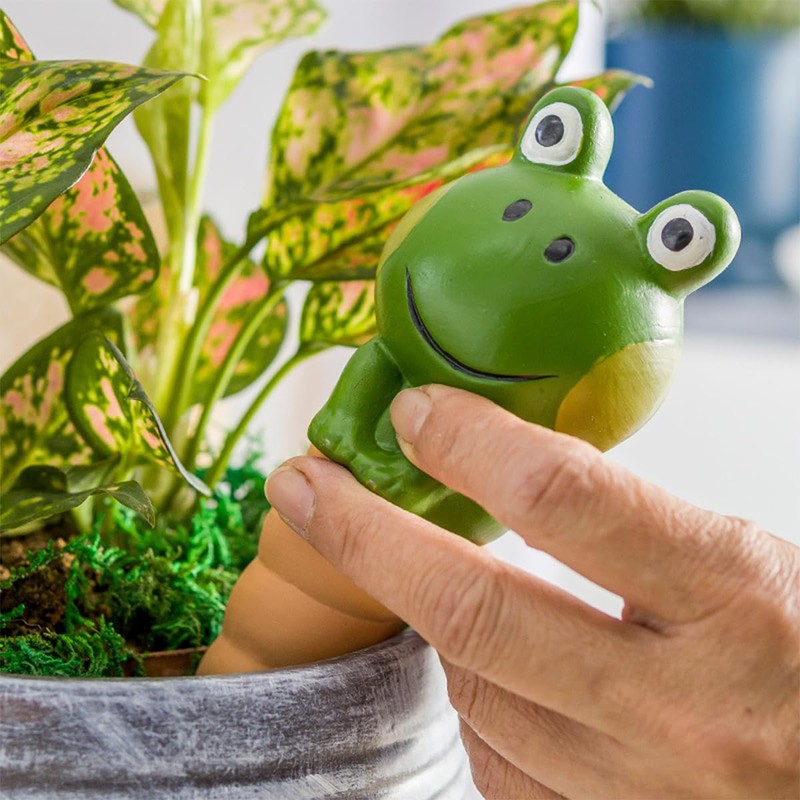 Hsthe Sea 4 Pack Frog Plant Watering Globes - Automatic