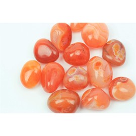 Steinfixx® - Premium Gemstone Water Set Energy | Healing Stone Mix for Making Gemstone Water | Beautiful Carnelian Tumbled Stones | Water Revitalization | Gemstone Elixir