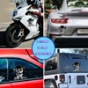 Say When Bumper Stickers, Cowboy Skull Stickers, Funny Car Stickers,