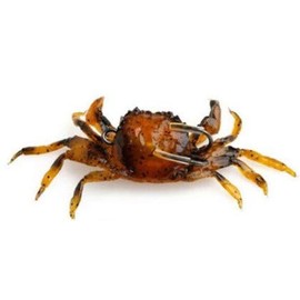 FISHING ADDICT Realistic Crab fishing lure softbait Crazy Crab Red Brown 4.5’’ (120mm) / 33g